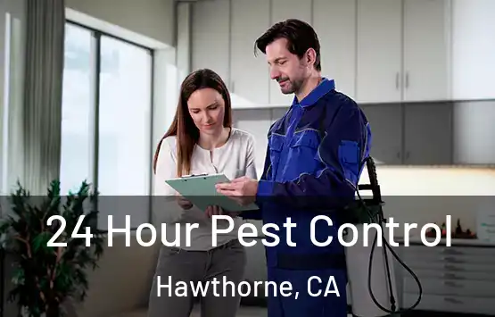  24 Hour Pest Control Hawthorne, CA