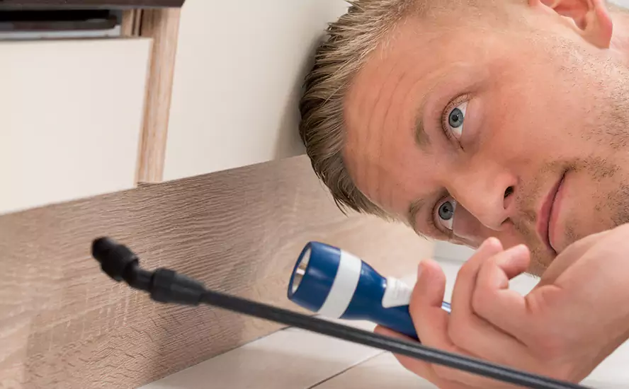 Top-Notch Pest Control in Hawthorne