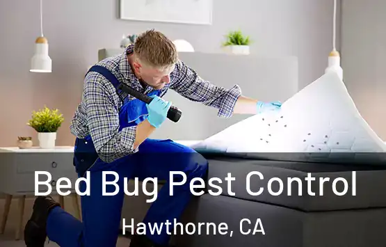  Bed Bug Pest Control Hawthorne, CA