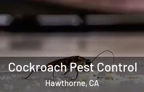  Cockroach Pest Control Hawthorne, CA