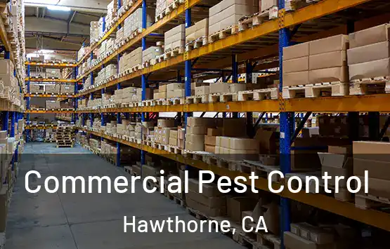  Commercial Pest Control Hawthorne, CA