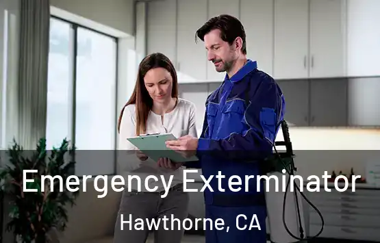  Emergency Exterminator Hawthorne, CA