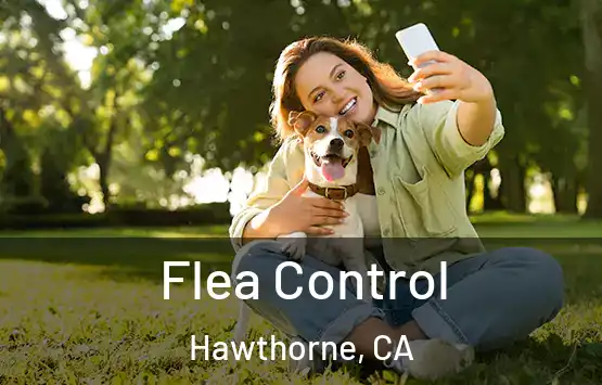  Flea Control Hawthorne, CA