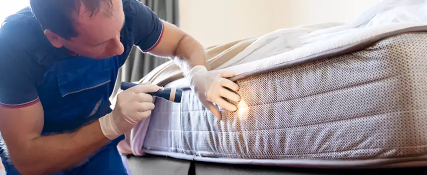 bed-bug-exterminator in Hawthorne, CA