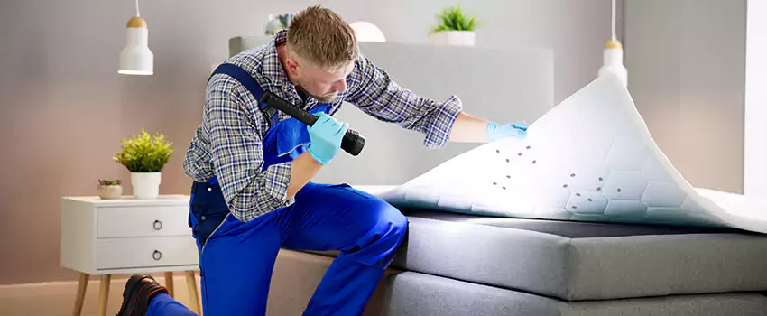 bed-bug-treatment in Hawthorne, CA