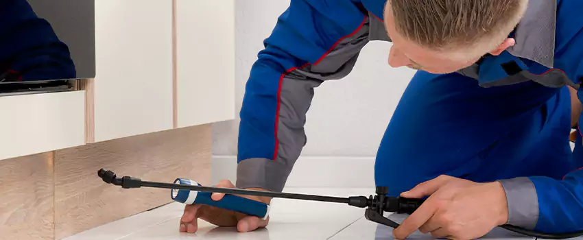 Ant Control for Bedrooms in Hawthorne, CA