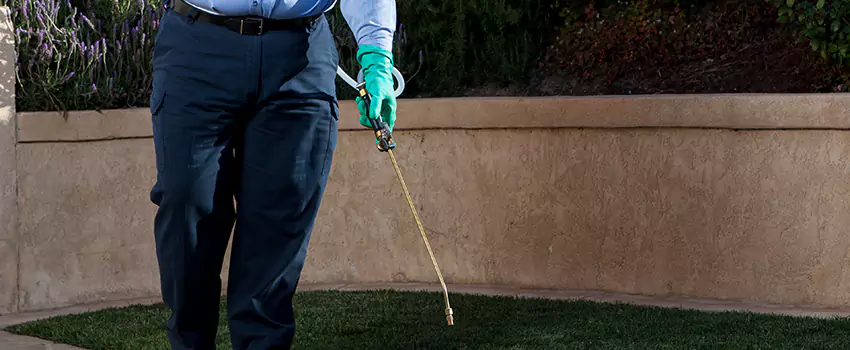 Emergency Pest Extermination for Children and Pets Hawthorne, CA