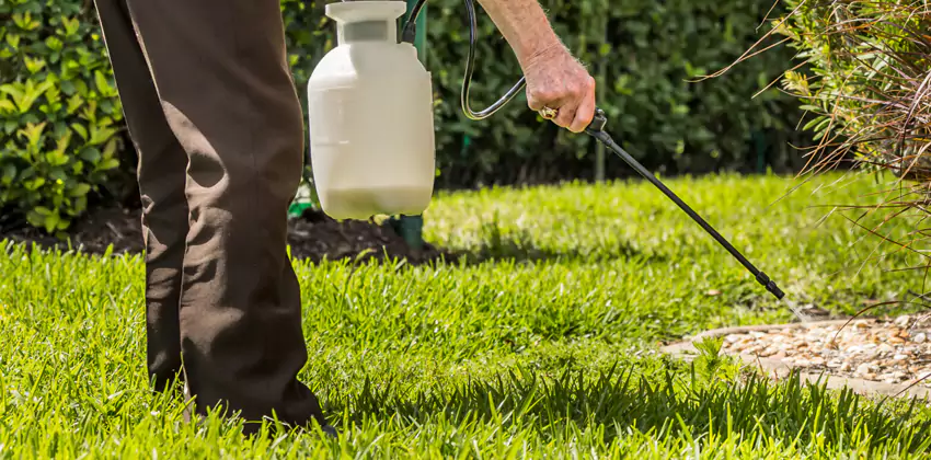 Grub Treatment for Bedrooms Hawthorne, CA