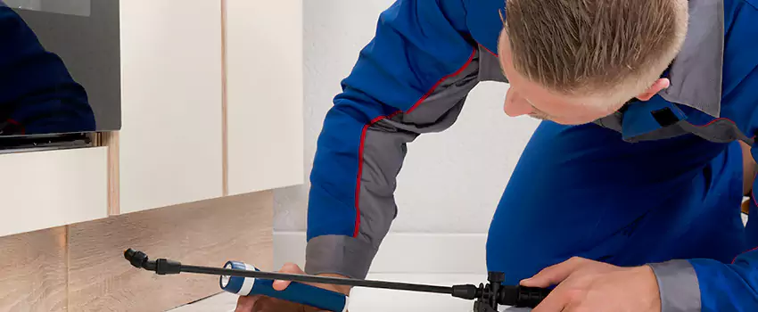 Termite Control for Children and Pets in Hawthorne, CA