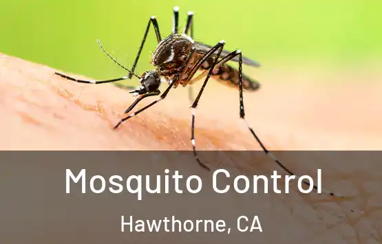  Mosquito Control Hawthorne, CA