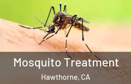  Mosquito Treatment Hawthorne, CA