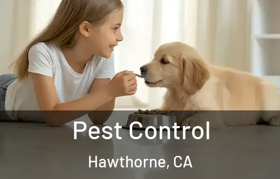 Pest Control Hawthorne, CA