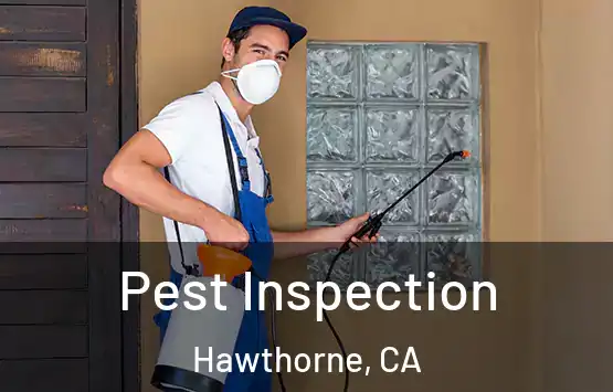  Pest Inspection Hawthorne, CA