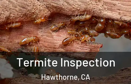  Termite Inspection Hawthorne, CA