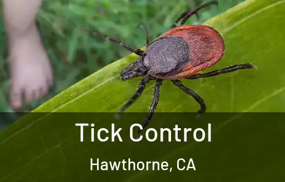  Tick Control Hawthorne, CA